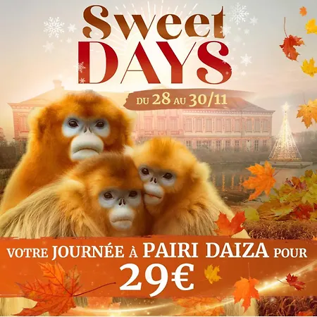 Le Petit Nid Hébergement de vacances Brugelette